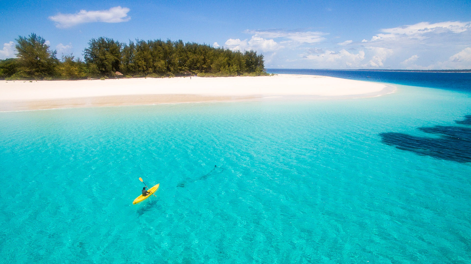 Mnemba Island Atoll - Snorkeling and Diving Marine Life